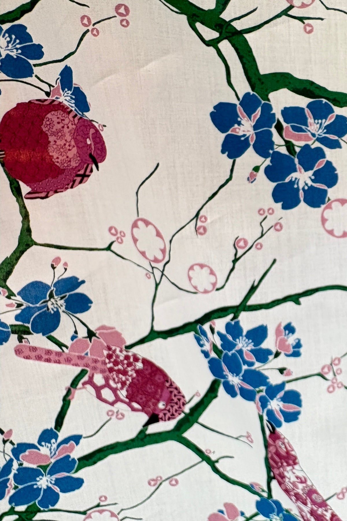 Bird Song Blossom - Short set