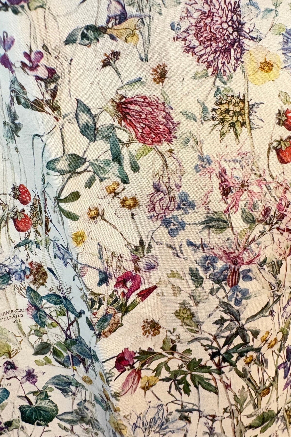 Wildflowers - Mix Set